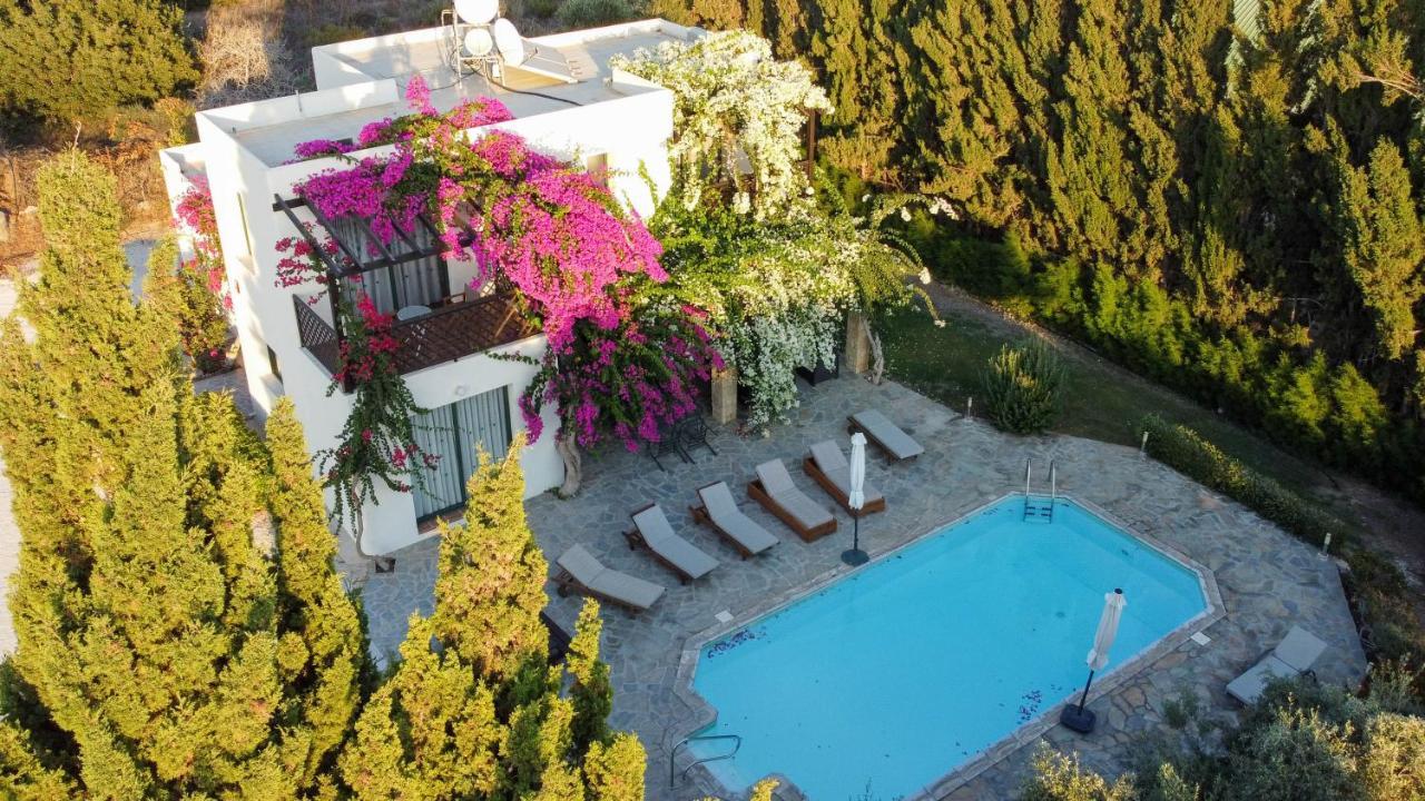 Banana Sunset Villas Paphos Buitenkant foto