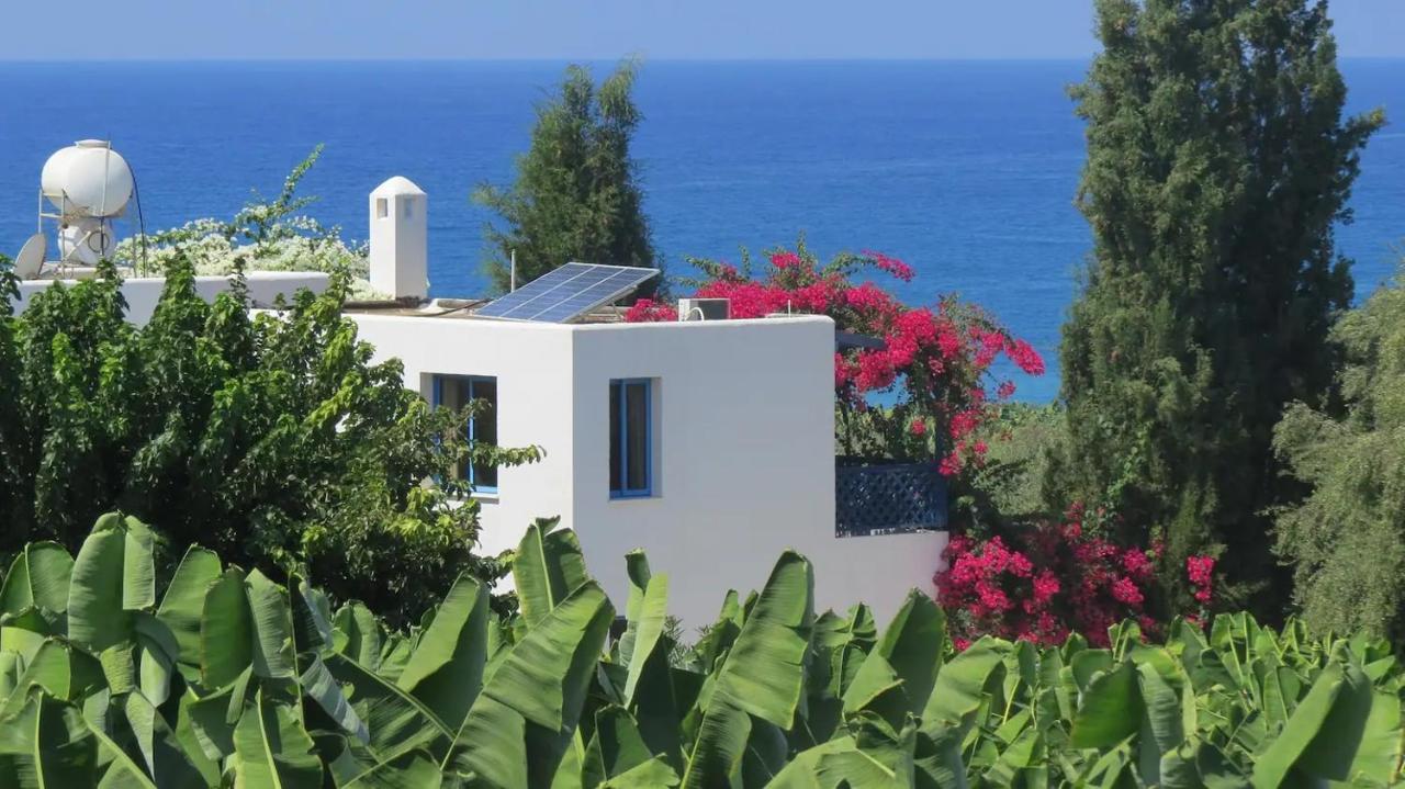 Banana Sunset Villas Paphos Buitenkant foto