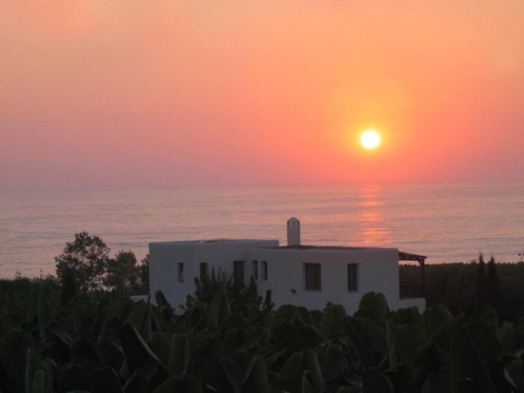 Banana Sunset Villas Paphos Buitenkant foto