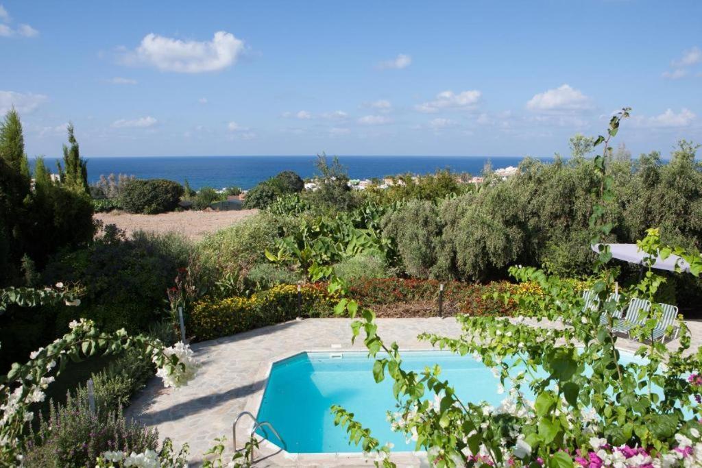 Banana Sunset Villas Paphos Buitenkant foto